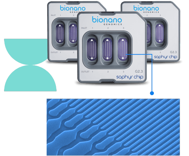 Saphyr™ System for Structural Variation Detection | Bionano