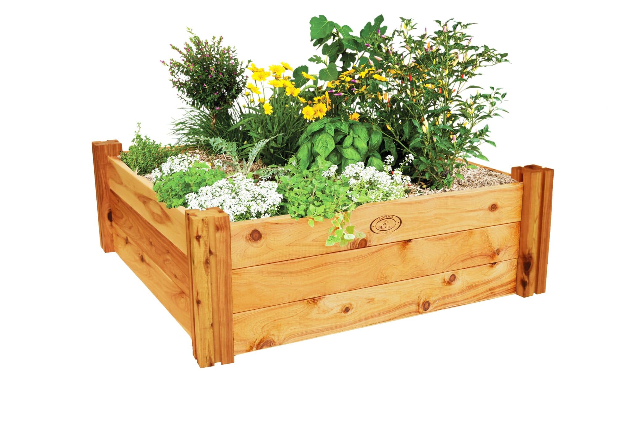 Birdies Raised Garden Beds Uk : Birdies 6 in 1 Raised Garden Flower ...