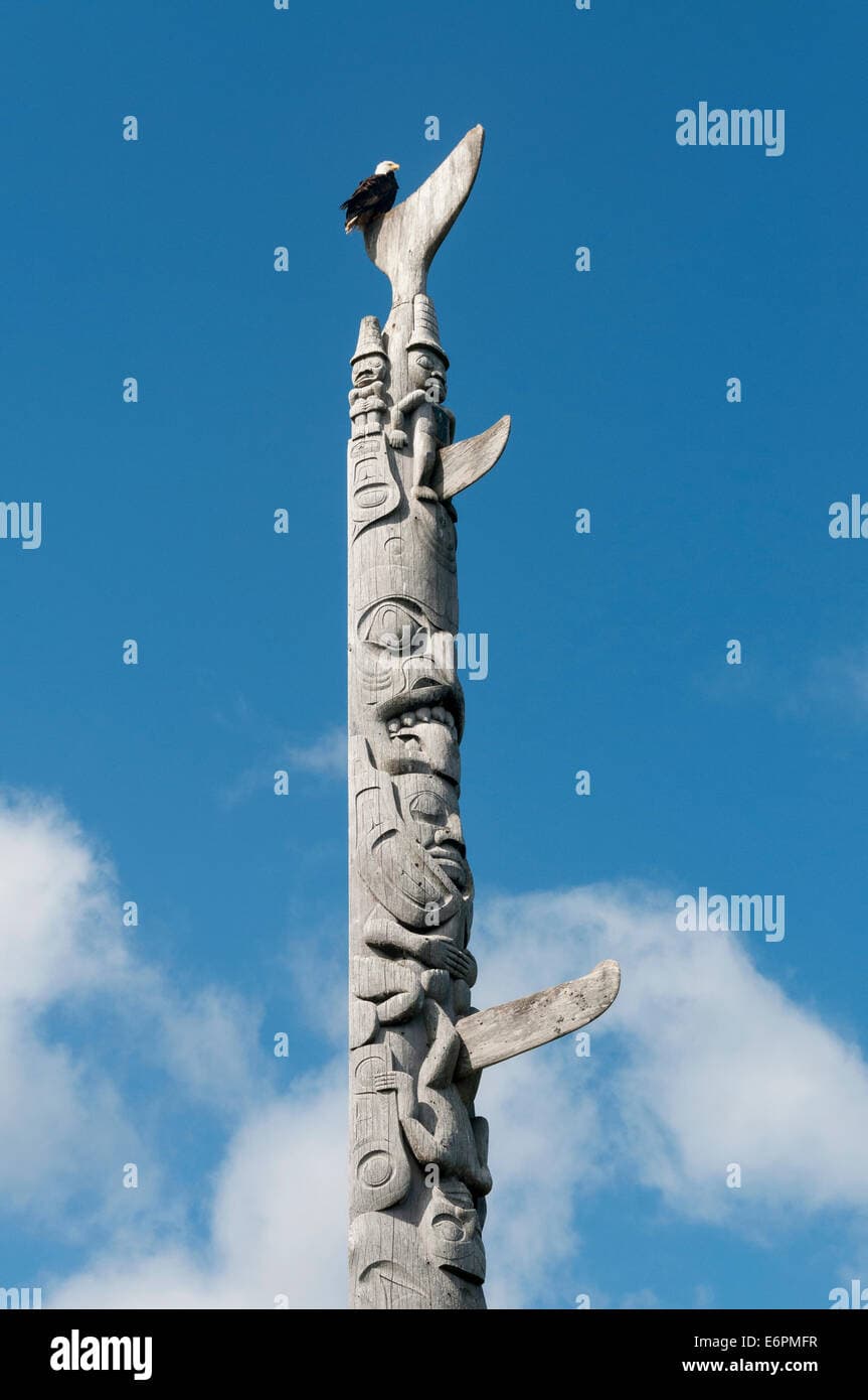 Elk203-4512v Canada, British Columbia, Haida Gwaii, Skidegate, Bill ...