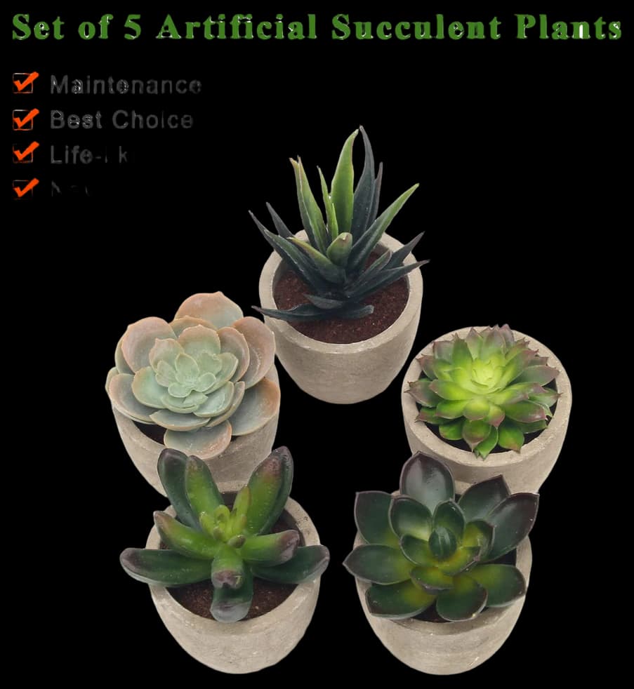 Coitak Artificial Succulent Plants Potted, Assorted Decorative Faux ...