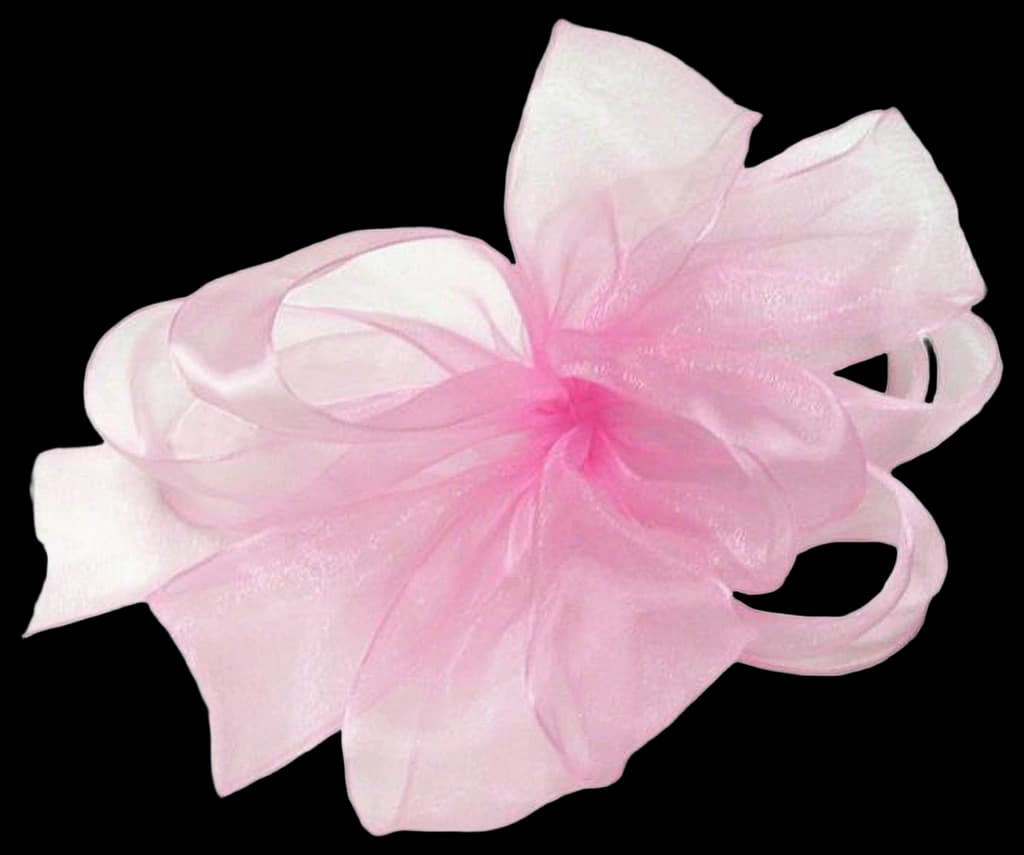 Amazon.com: Berwick Offray LLC 795826 Simply Sheer Asiana Ribbon - 1/4 ...