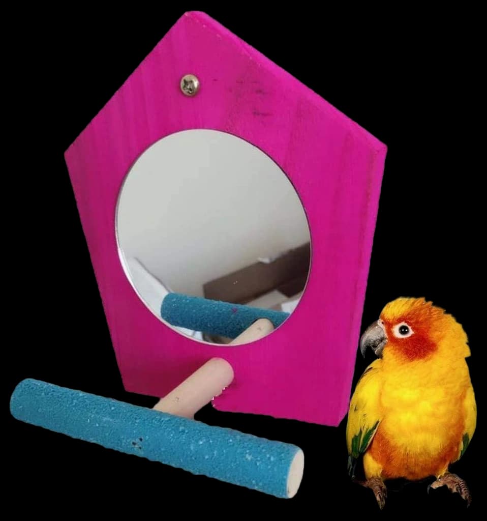 Mirror Toys For Birds at Martin Clark blog