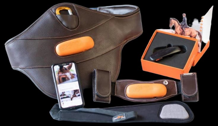 Equisense Motion S - Dressur-Studien