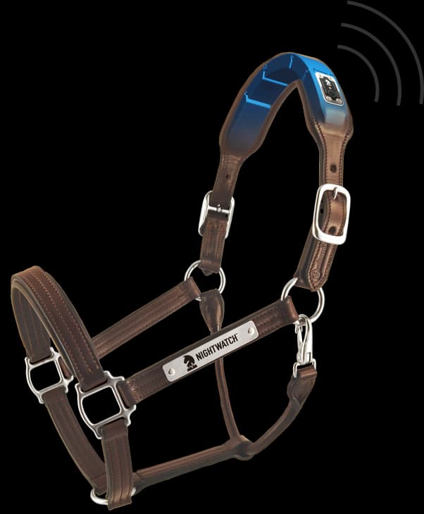 NIGHTWATCH Smart Halter: A Great Example of ARM's IoT Ecosystem ...