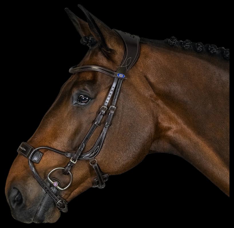 PS of Sweden Bridle High Jump | FUNDIS Equestrian