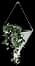 Umbra Trigg Hanging Planter Vase Wall