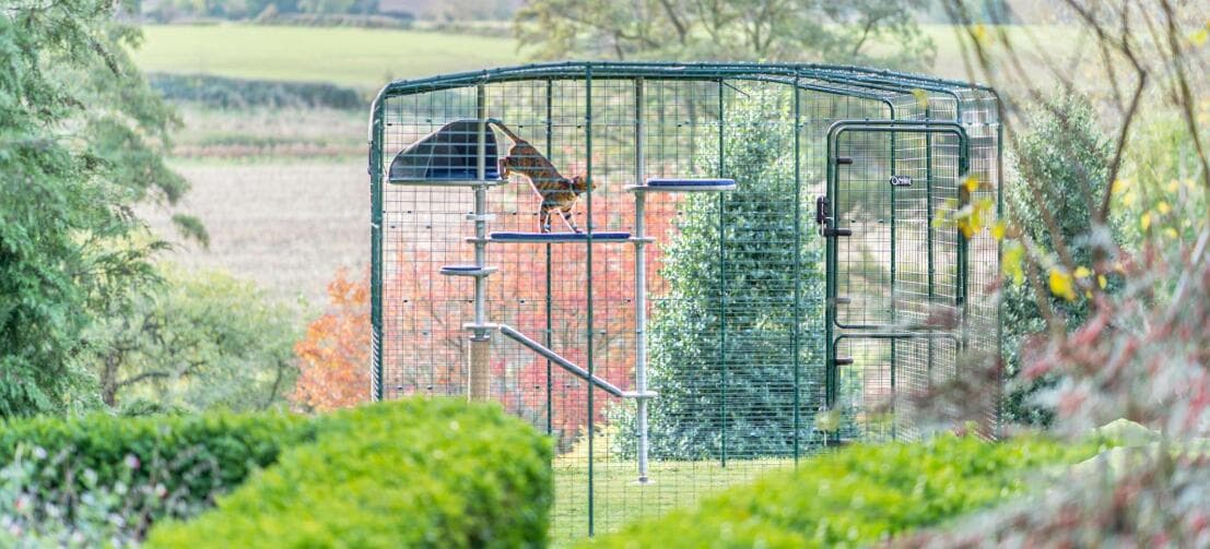 Catios | Large Spacious Outdoor Cat Enclosures | Omlet