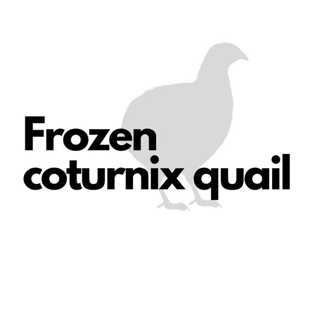 Frozen Coturnix Quail (sizes) - Roonami