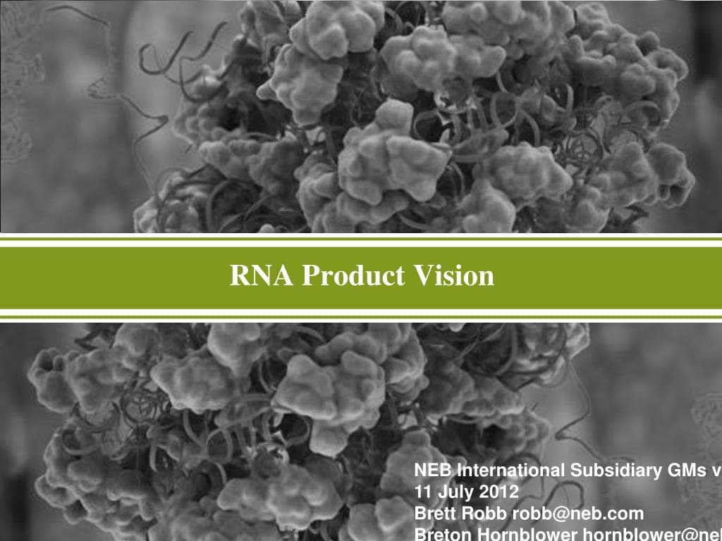 PPT - RNA Product Vision PowerPoint Presentation, free download - ID ...