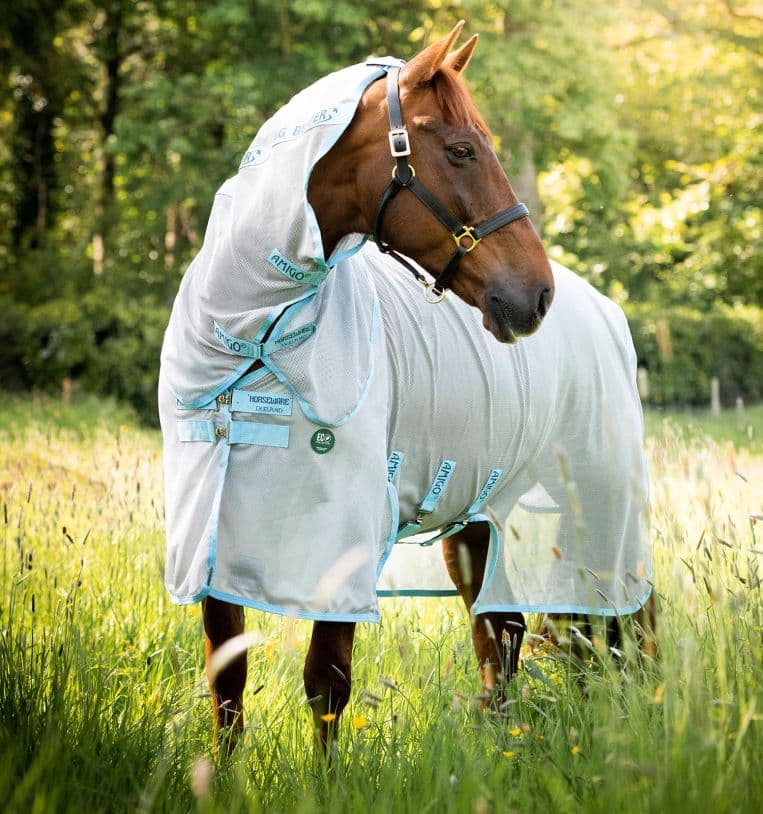 Order Amigo® AmECO Bug Buster Fly Sheet Online - Horseware Ireland