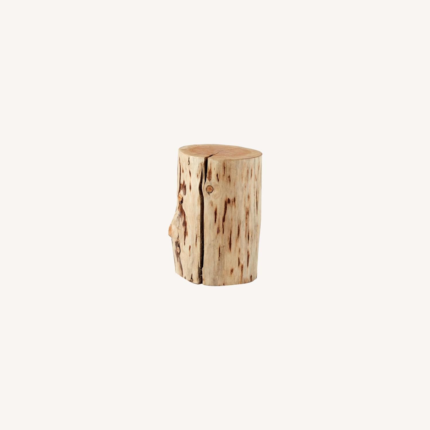 West Elm Natural Tree Stump Side Tables - AptDeco