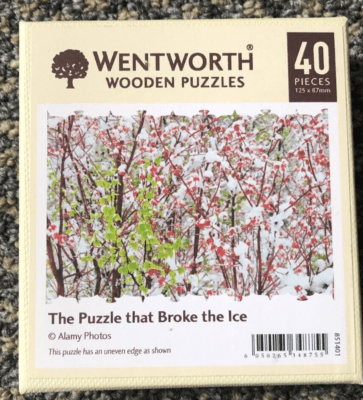 WENTWORTH WOODEN JIGSAW - THE PUZZLE THAT BROKE THE ICE 40 PIECE ...