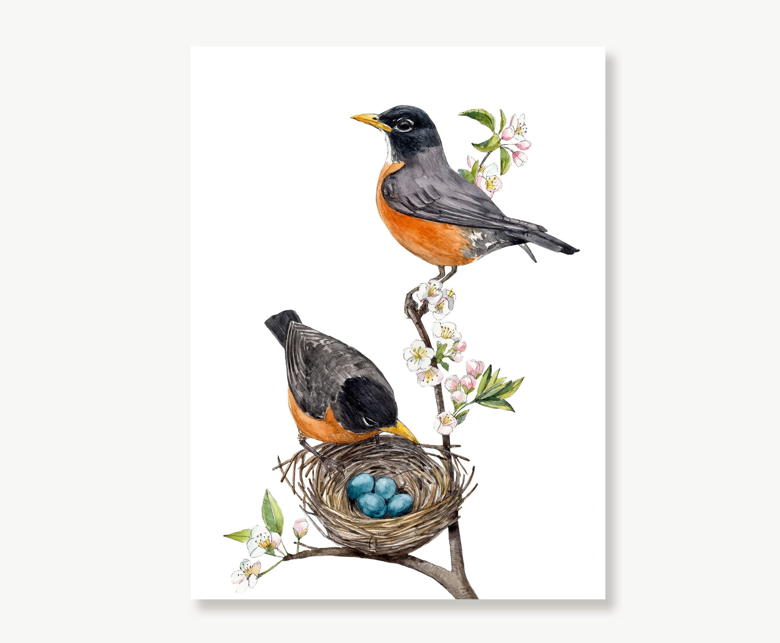 American Robin, Robin's Nest, Robin's Eggs, Bird Print, Easter Décor ...
