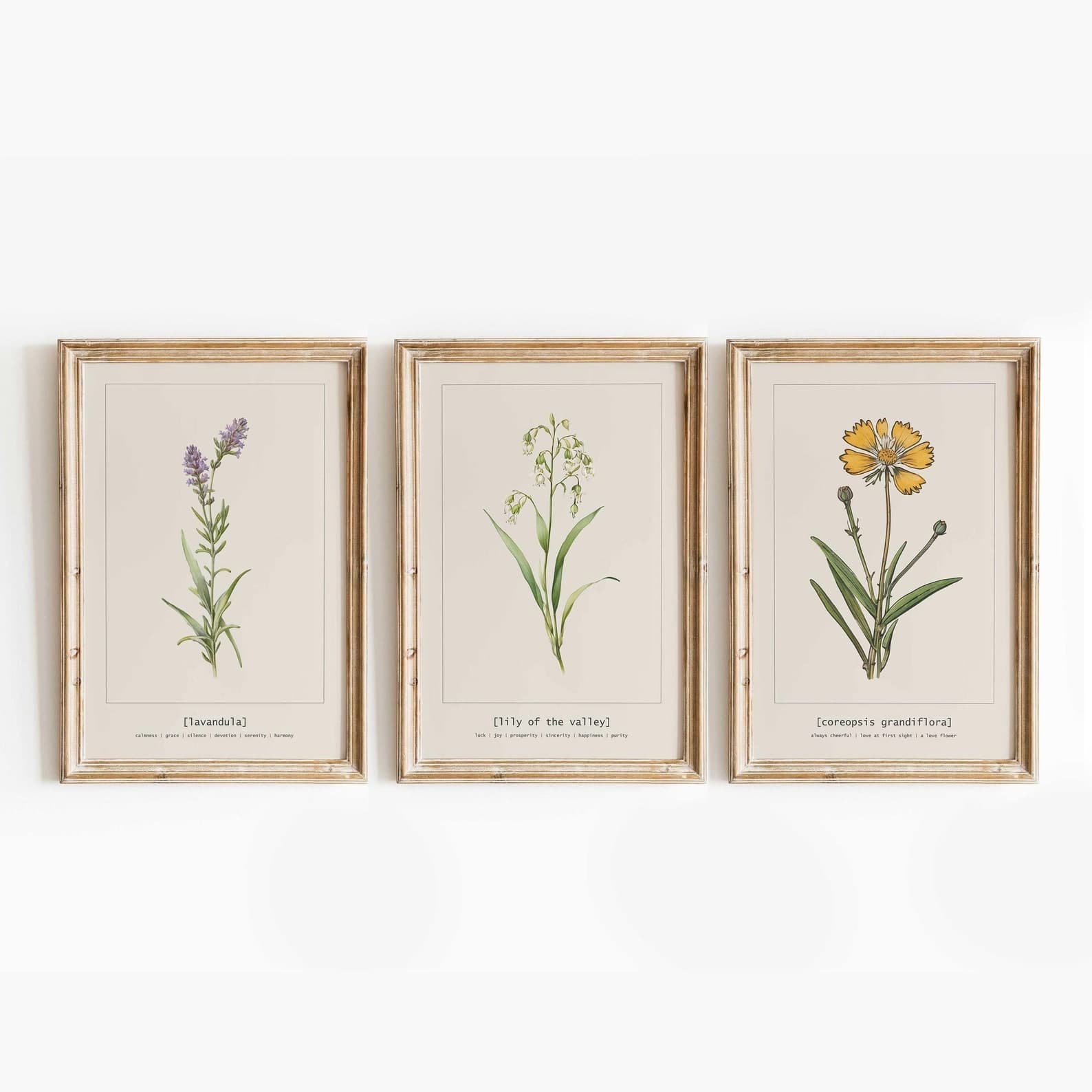 Botanical Prints Floral Gallery Wall Set of 3 Wild Flowers Watercolor ...