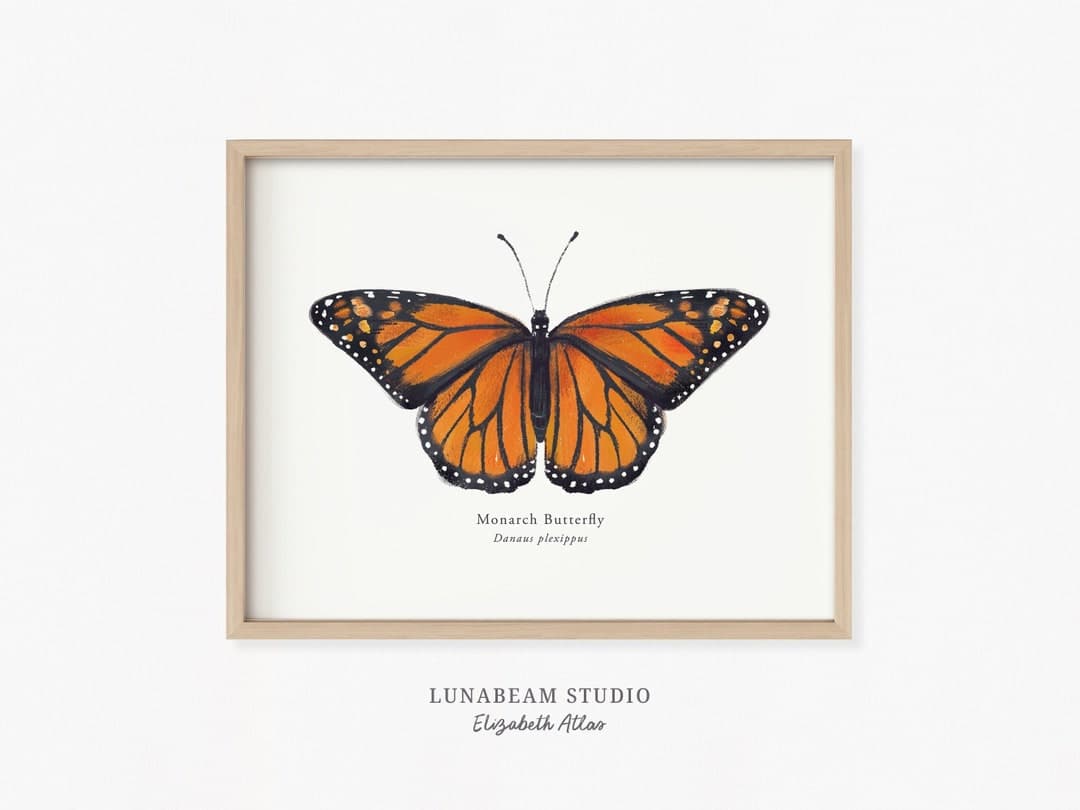 Monarch Butterfly Art Print: Orange Insect Wall Decor - Etsy