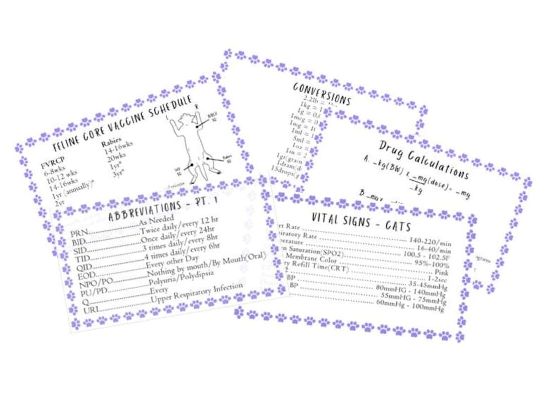 Vet Tech/nurse Small Animal Quick Reference Cards - Etsy