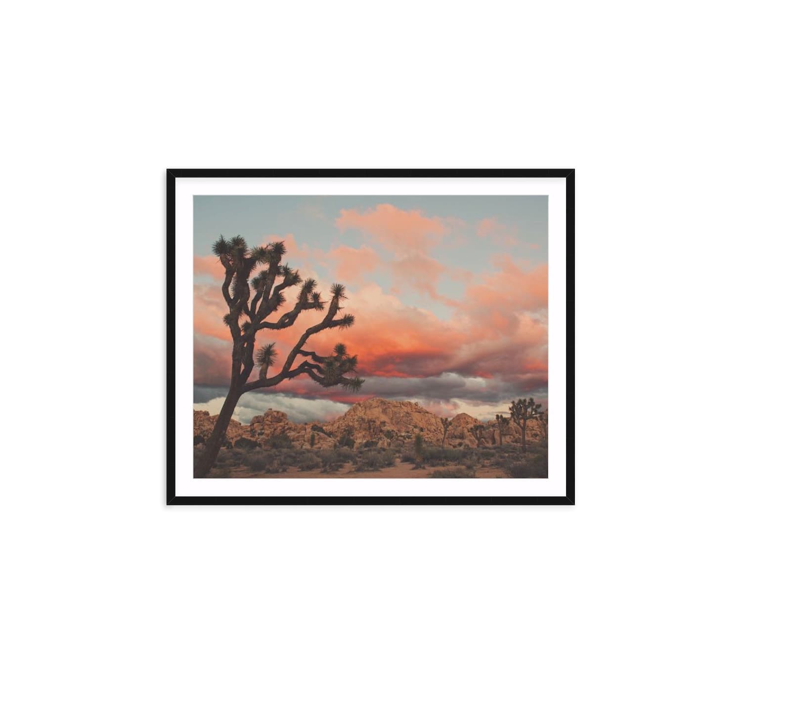 Framed Desert Print Joshua Tree Wall Art Southwest Photo - Etsy