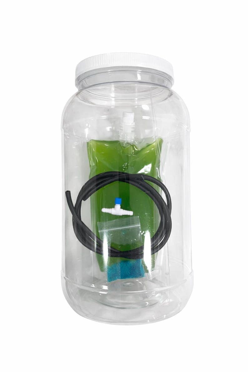 Live Green Water Culture Starter Kit – Fish Fry & Microfauna Food - Etsy