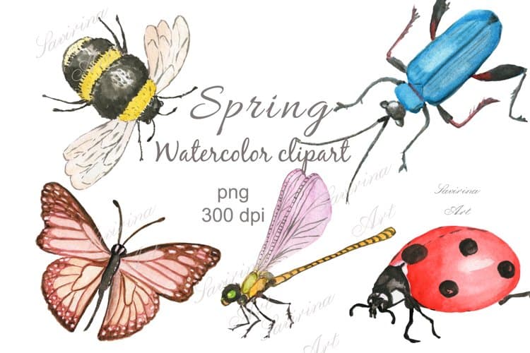 Watercolor clipart. Spring flowers are insects.Nature.