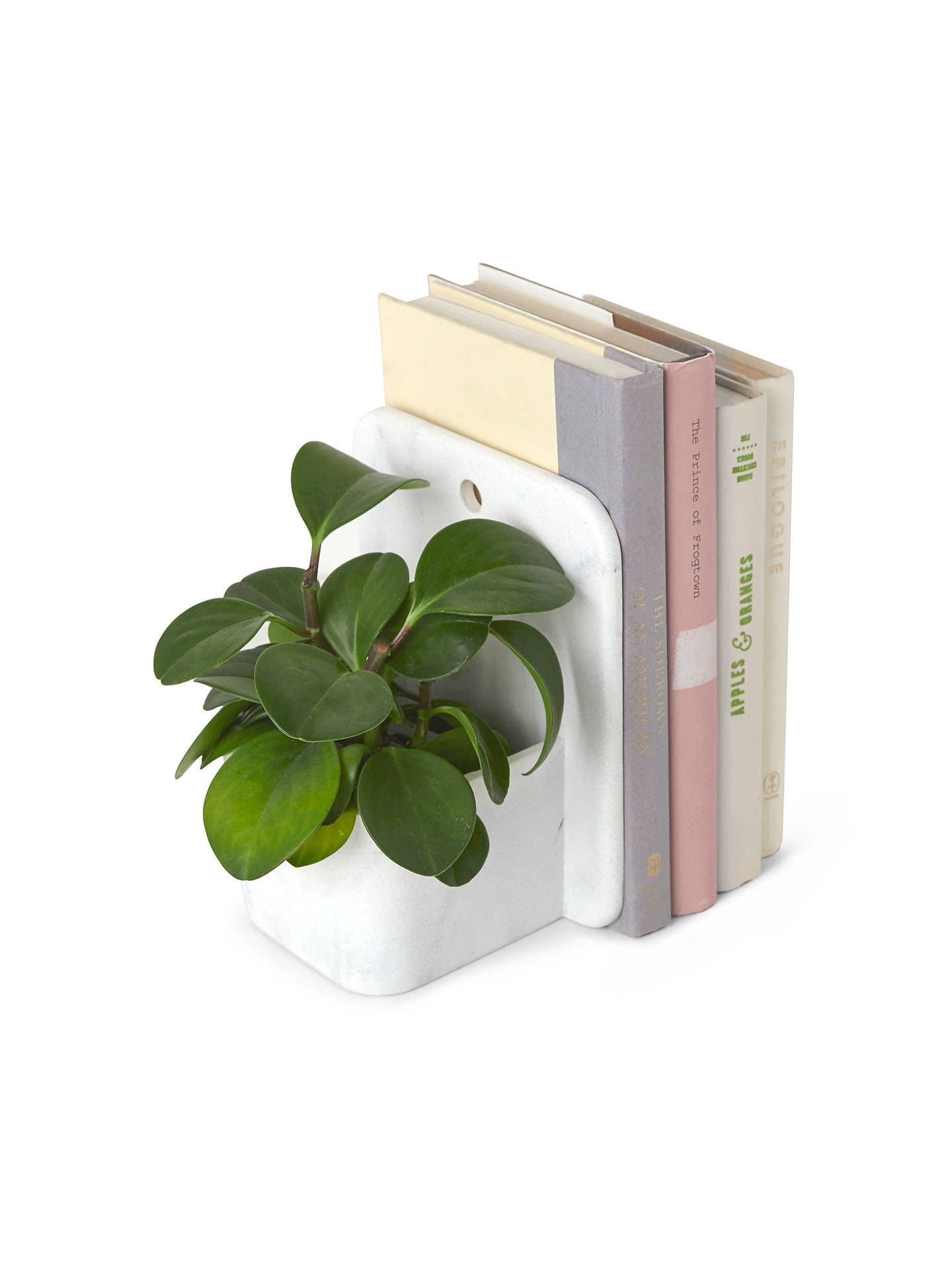 Umbra Booknook Bookend with Planter | Bookends, Small house plants, Umbra