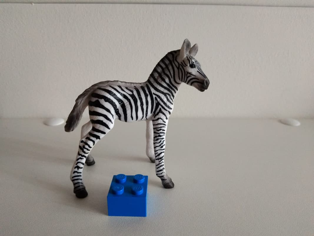 Wild and Farm animals 2020 from Mojo Fun!