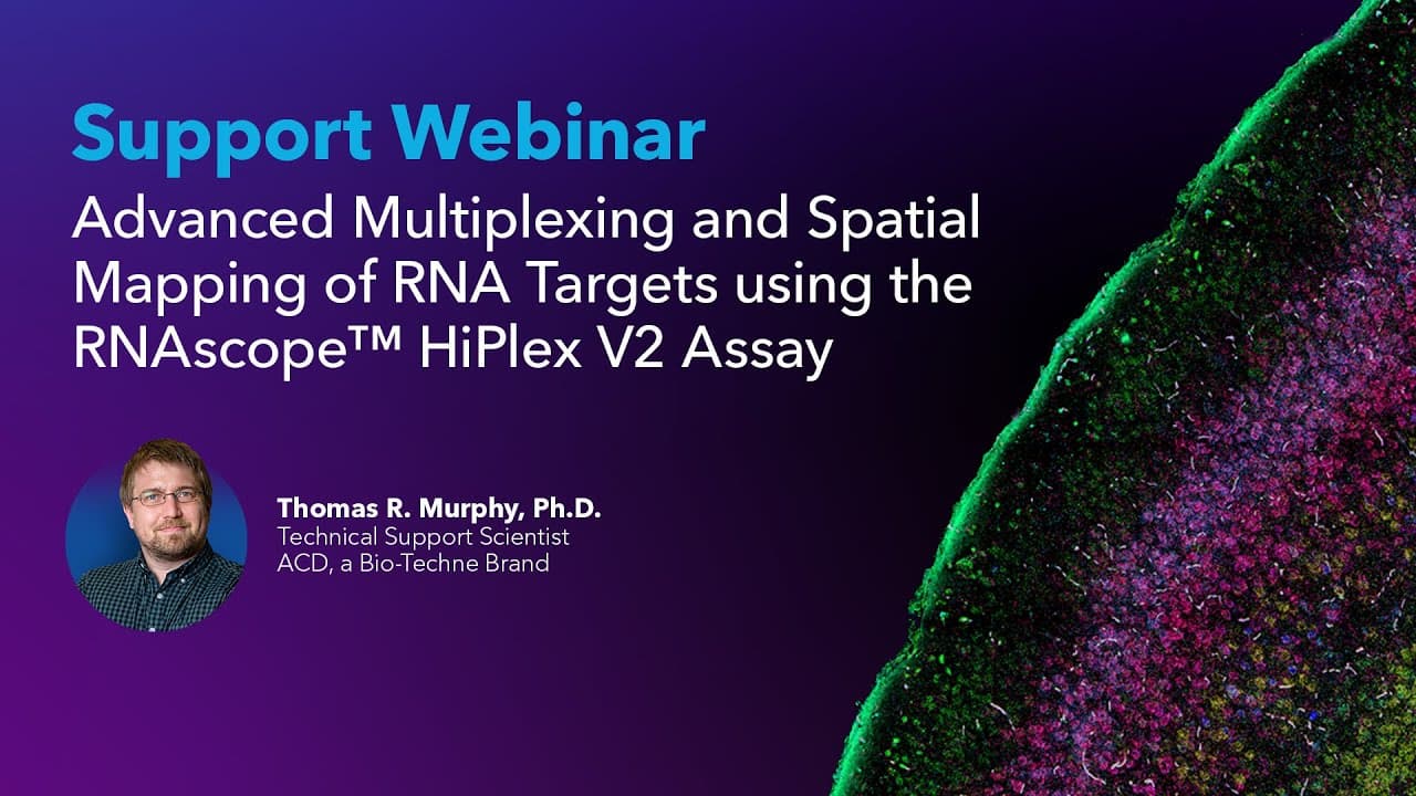 2023 June 27 - Advanced Multiplexing and Spatial Mapping of RNA ...