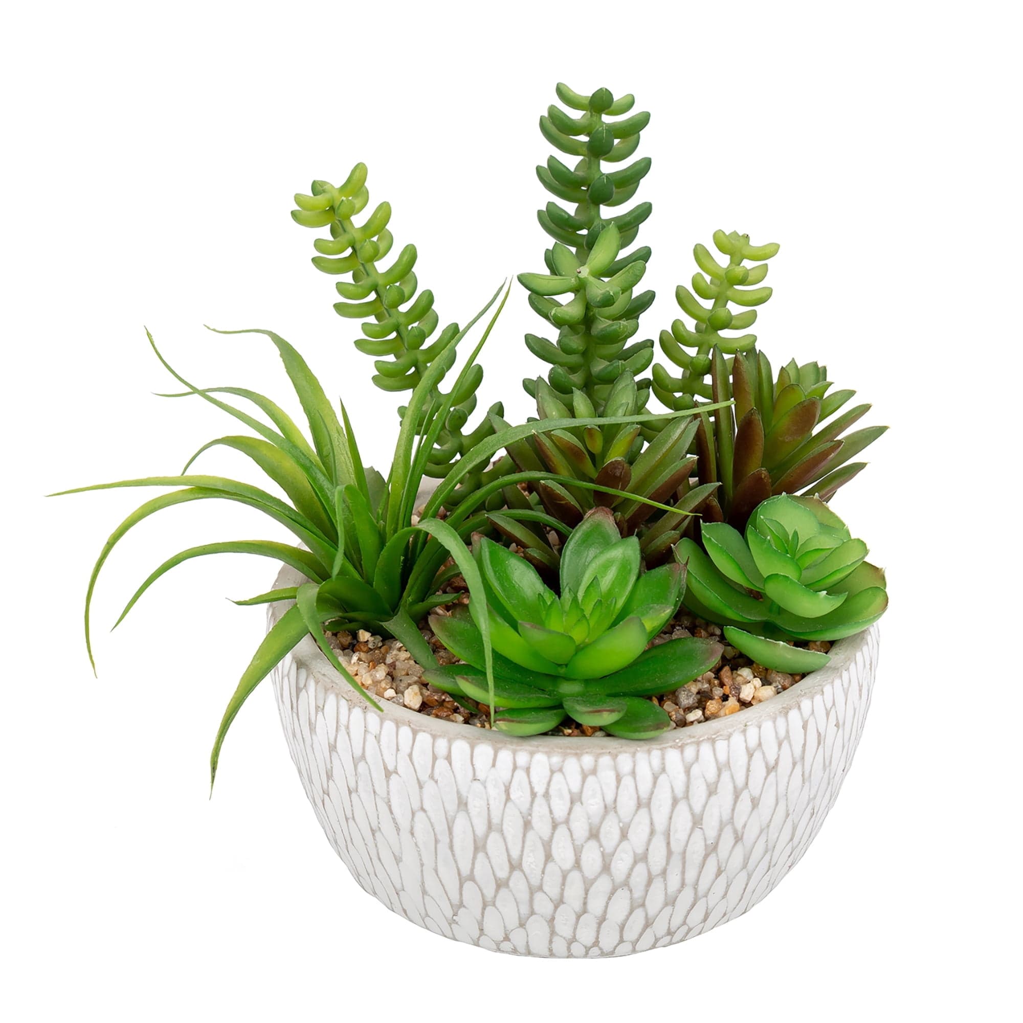 Artificial Mixed Succulents Plants in White Cement Planter Assorted ...