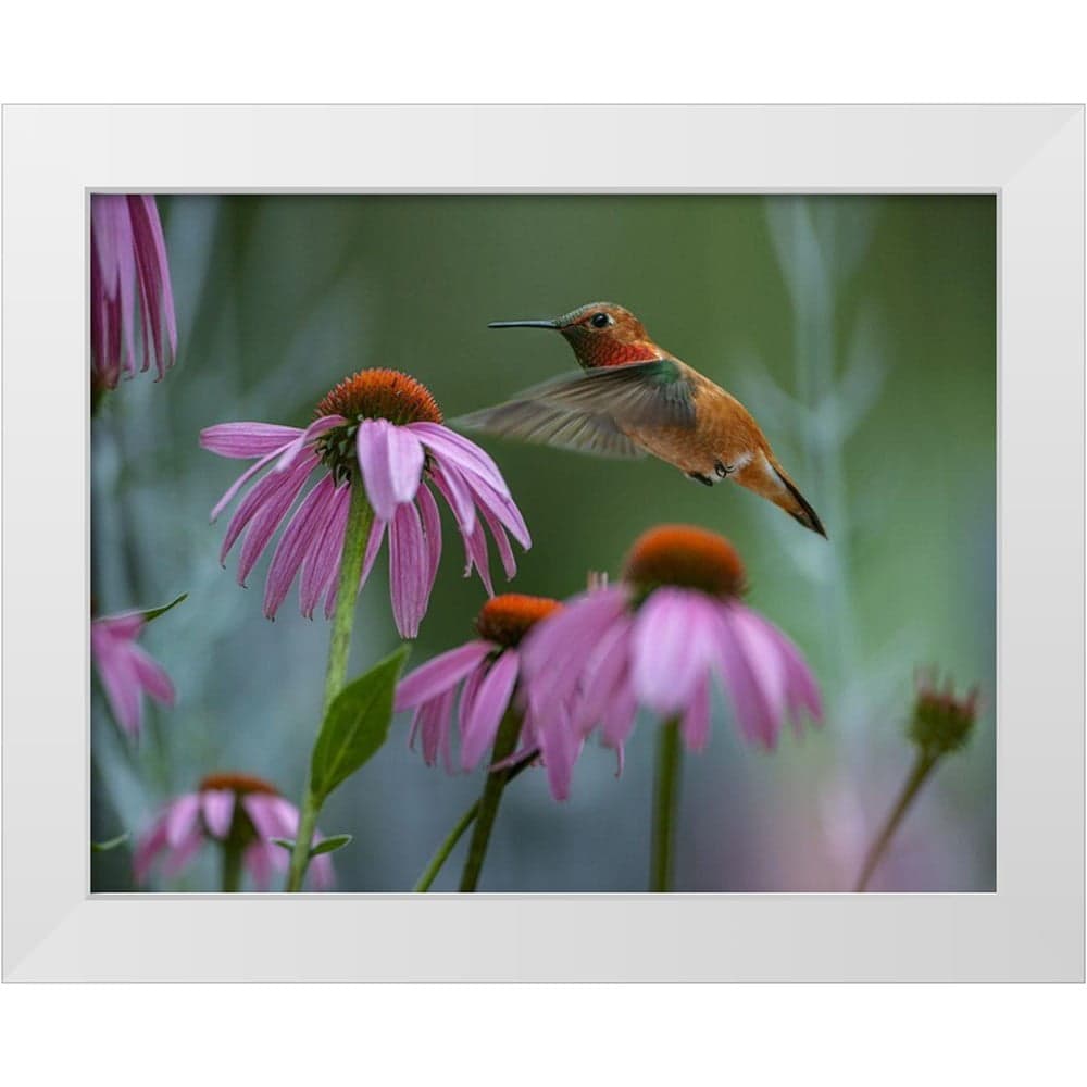 Fitzharris, Tim 14x12 White Modern Wood Framed Museum Art Print Titled ...