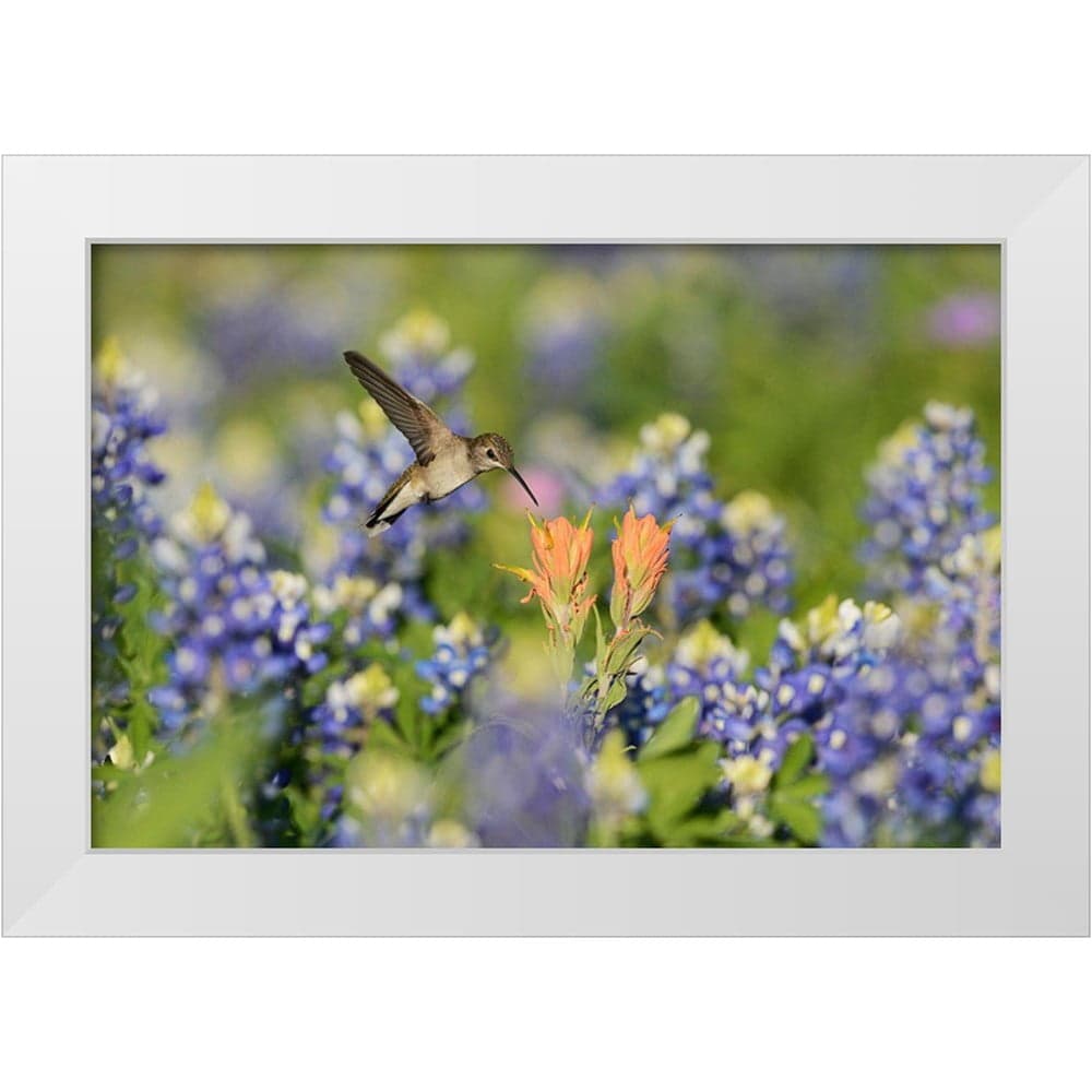 Nussbaumer, Rolf 18x13 White Modern Wood Framed Museum Art Print Titled ...