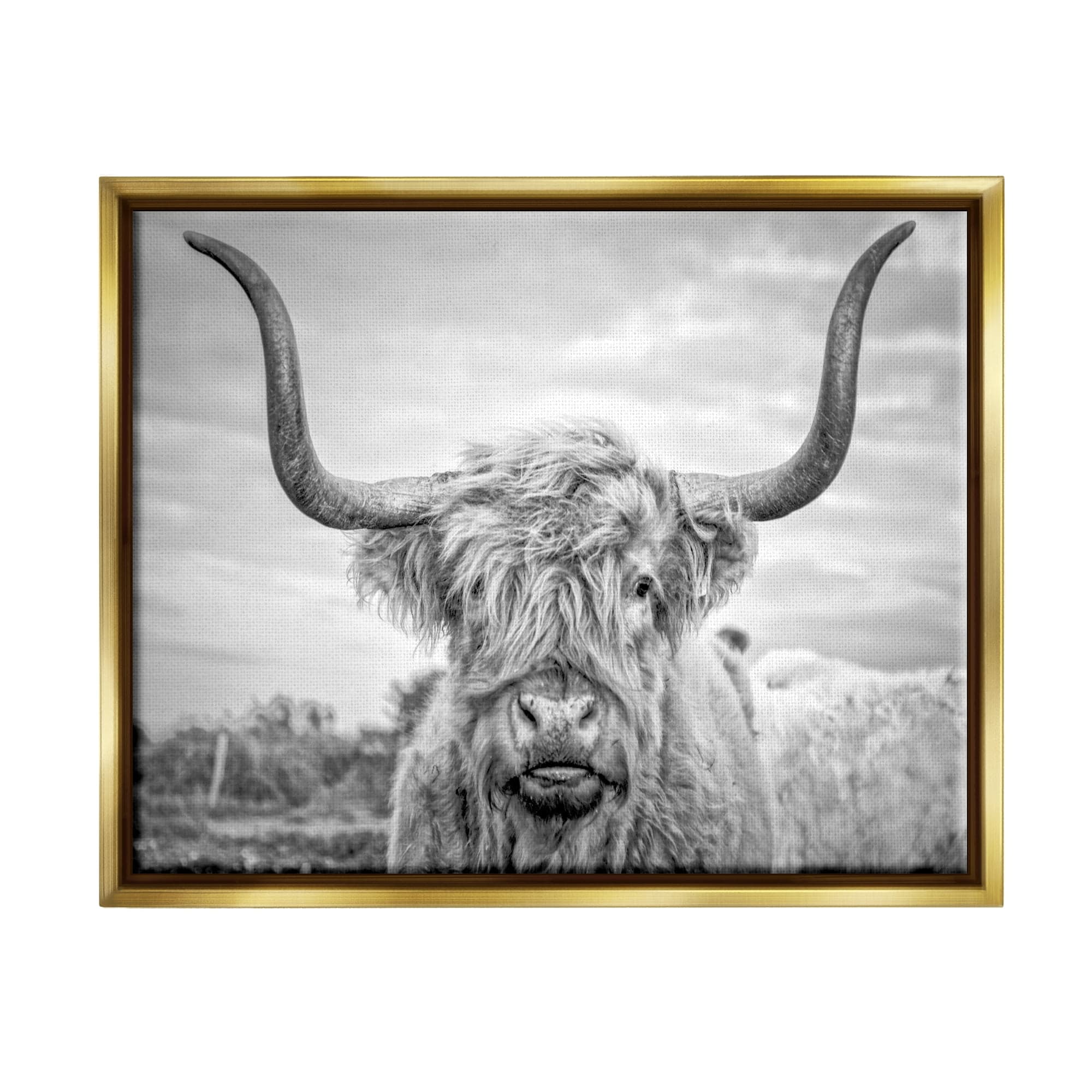 Stupell Industries Black and White Highland Cow Photograph Metallic ...