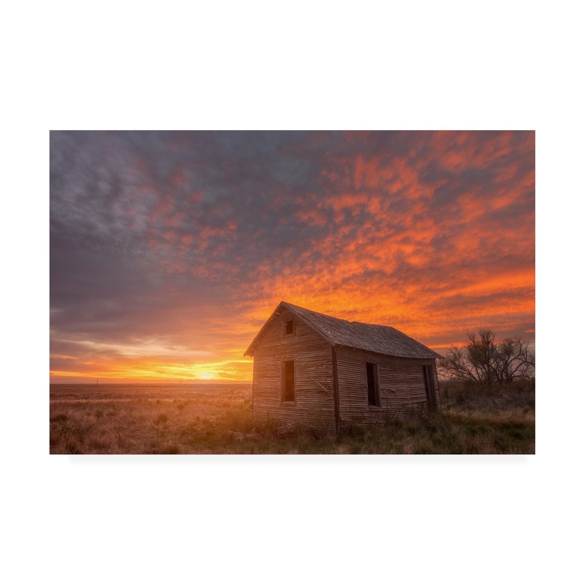 Trademark Fine Art 'Sunset on the Prairie' Canvas Art by Darren White ...