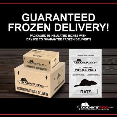 RODENT PRO Frozen Reptile Food, Large Rats, 5 count - Chewy.com