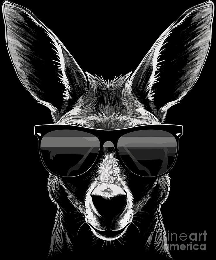 Kangaroo Sunglasses Digital Art by Megan Miller - Fine Art America
