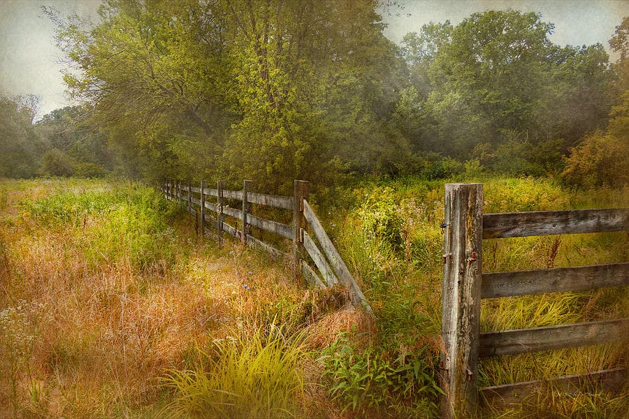 Country - Landscape - Lazy Meadows Photograph by Mike Savad