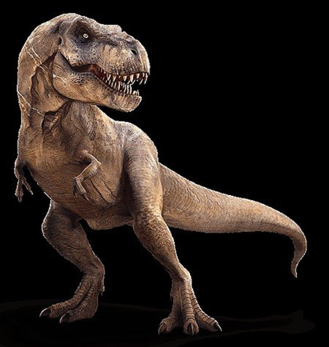 Male T Rex Names at Phyllis Spain blog