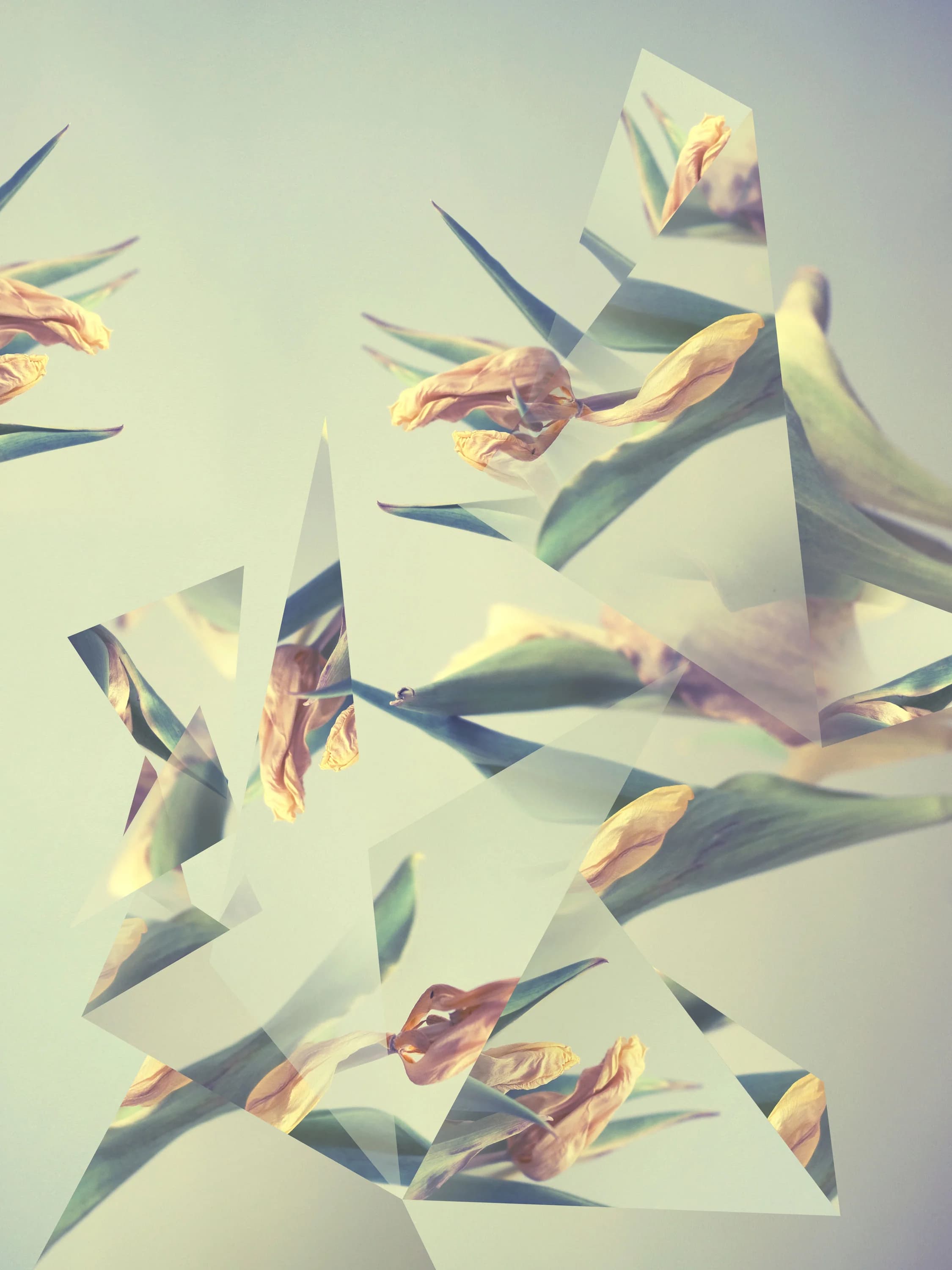 Arista X — Ivan Cordoba