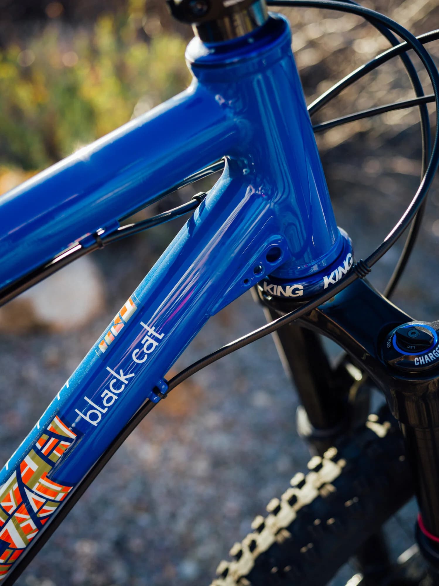 Holy Mountain — black cat bicycles
