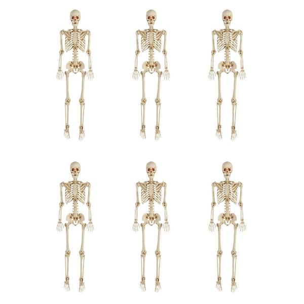 Reviews for Home Accents Holiday 6-Pack 5 ft. Poseable Skeleton | Pg 2 ...