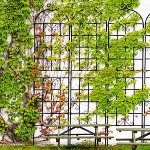 Vigoro 72 in. Glory Trellis in Black 87293 - The Home Depot