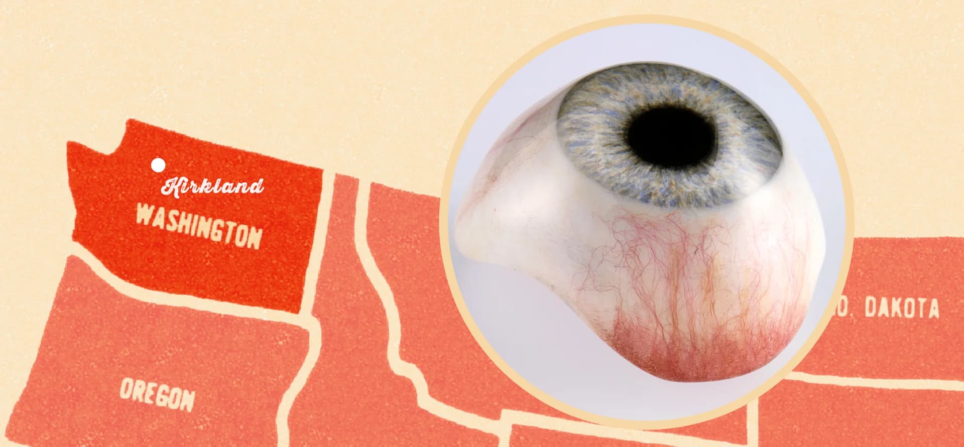 This Company Makes Fake Human Eyeballs an Art Form