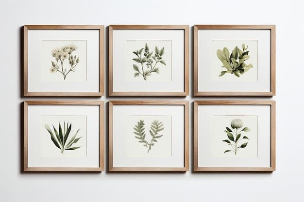 Premium Photo | A Collection of Framed Botanical Prints Isolatedquot