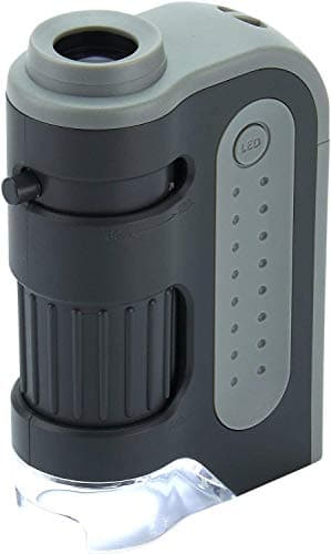Carson MicroBrite™ Plus 60x - 120x LED Lighted High Definition Children ...