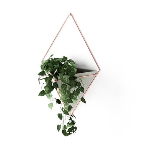 Umbra 'Wallflower' Wall Art | Cute wall decor, Unique wall art, Flower ...
