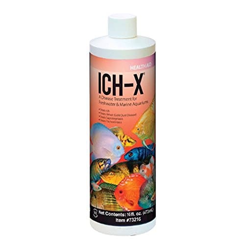 Hikari Ich-X