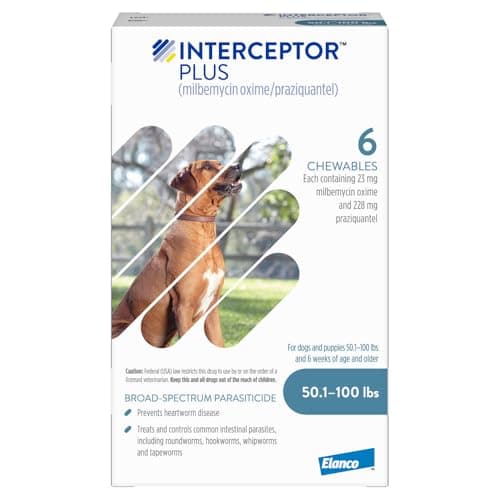 Interceptor Vs Interceptor Plus: Best Heartwormers for Dogs?