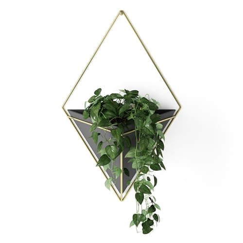 Umbra Trigg Hanging Planter Vase Wall
