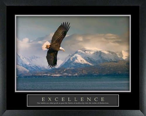 Excellence Eagle Motivational Poster | Successories