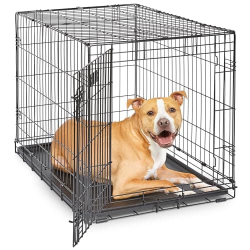 MidWest Homes for Pets iCrate Single Door Folding Dog Crate