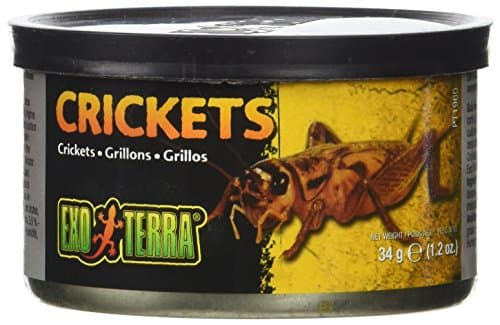 Crickets XL 1.2 oz - 34g