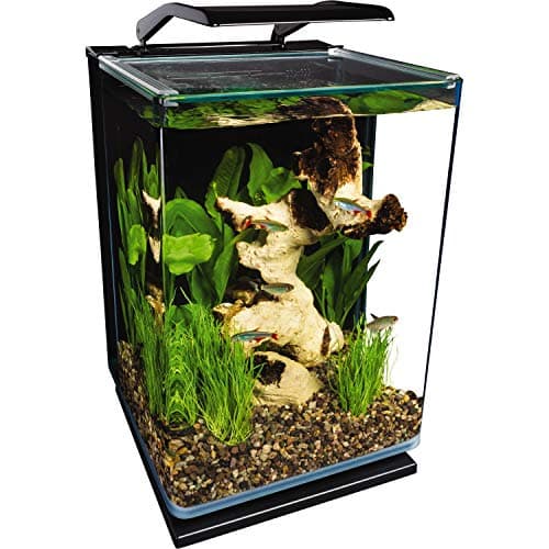 Marineland Portrait 5 Gallon Aquarium